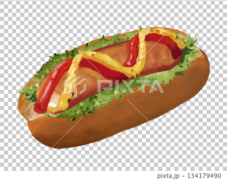 ホットドッグ（レタス入り） 134179490