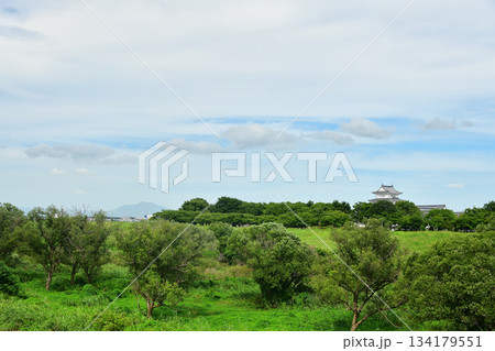 中の島公園から見た風景 134179551