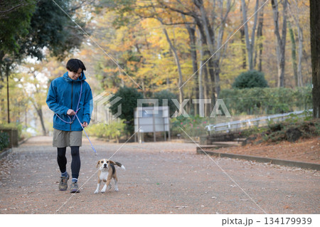 秋の公園で犬と散歩を楽しむ男性の笑顔とペットとの時間の全身 134179939