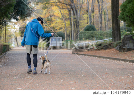 秋の公園で犬と散歩を楽しむ男性の笑顔とペットとの時間の全身後ろ姿	 134179940