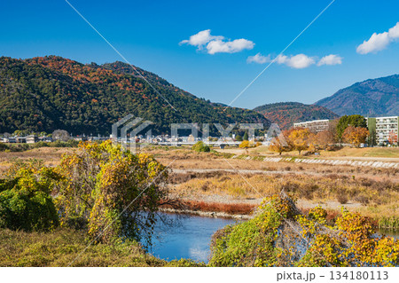 桂川右岸から左岸側の景観　京都市 134180113