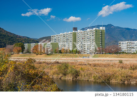 桂川右岸から左岸のマンションの景観 京都市 桂川右岸から左岸のマンションの景観 京都市 134180115