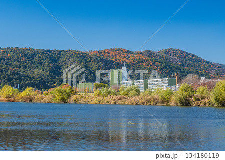 桂川右岸から左岸の景観　京都市 134180119