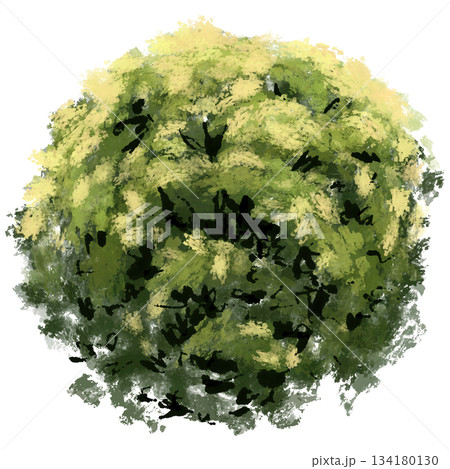 dense, circular cluster of foliage viewed from above. The color palette is dominated by dark forest green base tones highlighted by patches of bright yellow and chartreuse, suggesting new growth or a dense, circular cluster of foliage viewed from above. The color palette is dominated by dark forest green base tones highlighted by patches of bright yellow and chartreuse, suggesting new growth or a 134180130