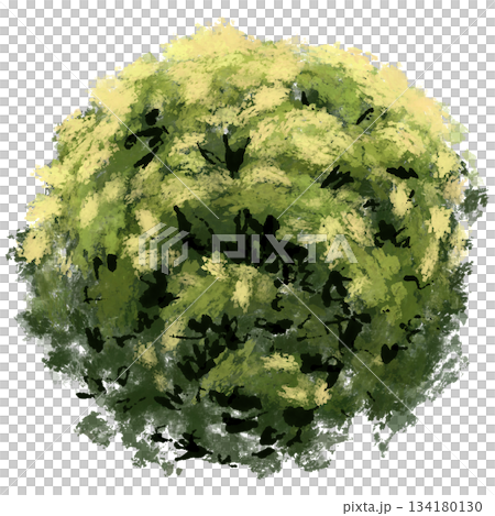 dense, circular cluster of foliage viewed from above. The color palette is dominated by dark forest green base tones highlighted by patches of bright yellow and chartreuse, suggesting new growth or a dense, circular cluster of foliage viewed from above. The color palette is dominated by dark forest green base tones highlighted by patches of bright yellow and chartreuse, suggesting new growth or a 134180130