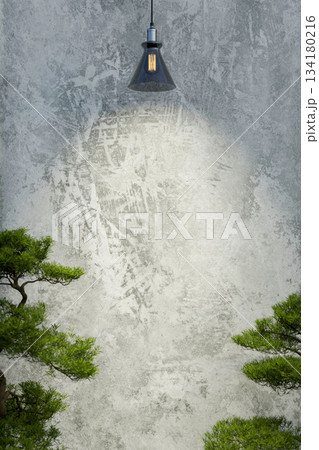 Ceiling spotlight lamp illuminating on gray loft cement wall and green bonsai plants in gallery room 134180216