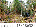 【道志村「雄滝･雌滝」】 134180321