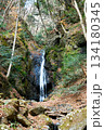 【道志村「雄滝･雌滝」の向かって右側で豪快に流れ落ちる雄滝】 134180345