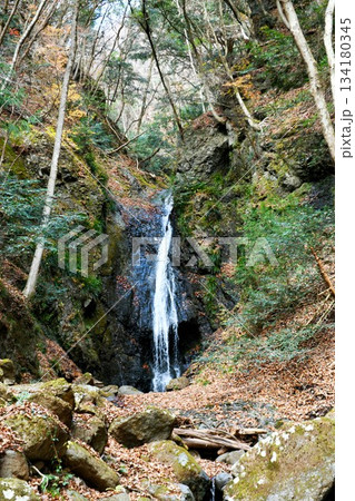 【道志村「雄滝・雌滝」の向かって右側で豪快に流れ落ちる雄滝】 【道志村「雄滝・雌滝」の向かって右側で豪快に流れ落ちる雄滝】 134180345