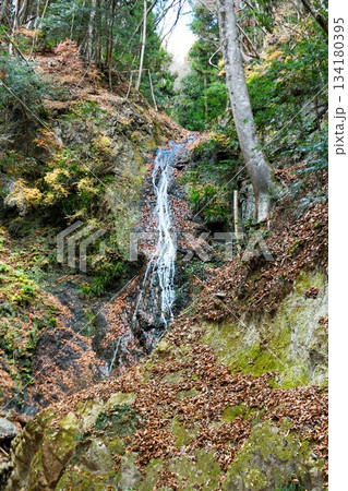 【道志村「雄滝･雌滝」の向かって左側で糸の様に流れ落ちる雌滝】 134180395