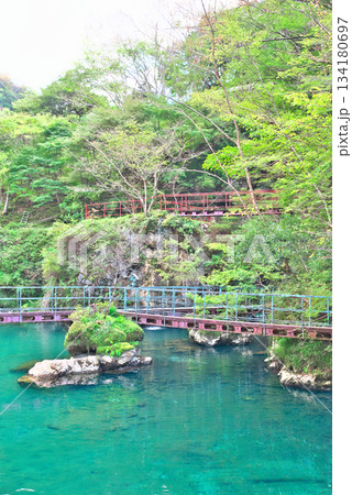 白龍湖 白龍湖 134180697