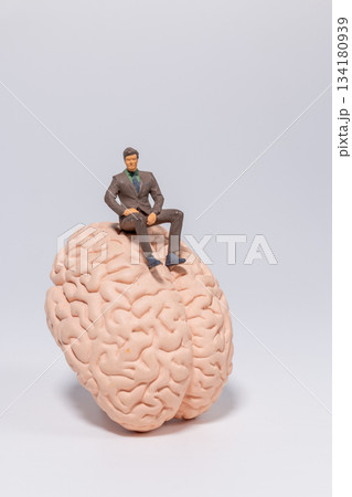 Business Concept: Leader on Human Brain 134180939