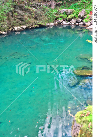 高知県の白龍湖 高知県の白龍湖 134180977