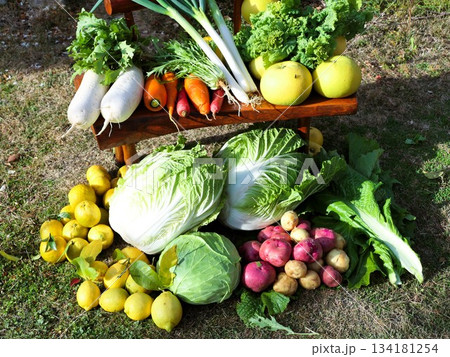 12月の収穫野菜、果物　2 134181254