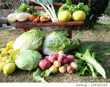 12月の収穫野菜、果物 6 12月の収穫野菜、果物 6 134181258