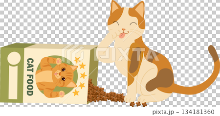 cat eating beside cat food box. A happy calico cat beside scattered kibble reflects 134181360