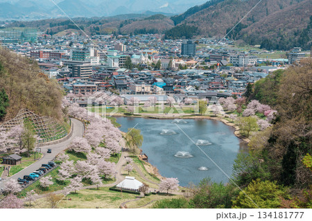 Tendo Park or Maizuru Park with Sakura Cherry Blossom in Spring season. Yamagata prefecture, Tohoku, Japan, 21 April 2025 134181777