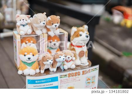 Akita dog doll in Kakunodate town, Semboku District, Akita Prefecture, Japan. Akita, Japan, 23 April 2025 Akita dog doll in Kakunodate town, Semboku District, Akita Prefecture, Japan. Akita, Japan, 23 April 2025 134181802