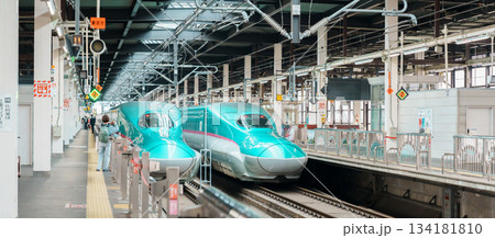 Tohoku Shinkansen, JR E5 Shinaknsen Bullet train arriving at Morioka Station platform for departing to Tokyo Station. Morioka city, Iwate Prefecture, 23 April 2025 134181810