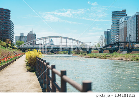 Beautiful Iwate mountain and Kitakami river with flowers blooming in Spring season, cityscape against blue sky in Morioka city, Iwate prefecture, Japan. Iwate, Japan, 24 April 2025 Beautiful Iwate mountain and Kitakami river with flowers blooming in Spring season, cityscape against blue sky in Morioka city, Iwate prefecture, Japan. Iwate, Japan, 24 April 2025 134181812