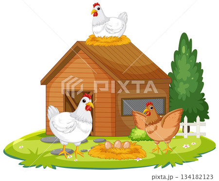 Chickens and Eggs Around Wooden Chicken Coop Illustration 134182123