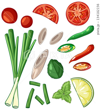 Fresh Asian Food Ingredients Vector Illustration Collection 134182156
