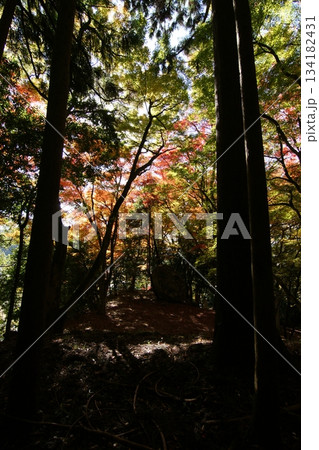 鳥取 四季の散歩 秋 智頭 諏訪神社 鳥取 四季の散歩 秋 智頭 諏訪神社 134182431