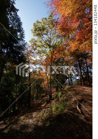 鳥取 四季の散歩 秋 智頭 諏訪神社 鳥取 四季の散歩 秋 智頭 諏訪神社 134182448