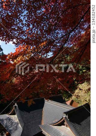 鳥取 四季の散歩 秋 智頭 諏訪神社 鳥取 四季の散歩 秋 智頭 諏訪神社 134182452