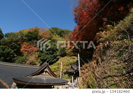 鳥取 四季の散歩 秋 智頭 諏訪神社 鳥取 四季の散歩 秋 智頭 諏訪神社 134182460