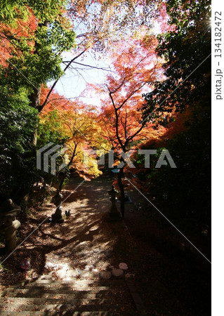 鳥取 四季の散歩 秋 智頭 諏訪神社 鳥取 四季の散歩 秋 智頭 諏訪神社 134182472
