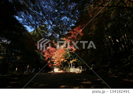 鳥取　四季の散歩　秋　智頭　諏訪神社 134182491