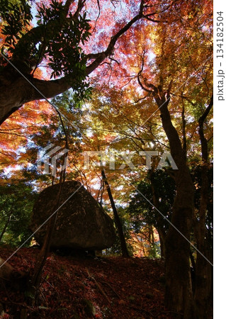鳥取 四季の散歩 秋 智頭 諏訪神社 鳥取 四季の散歩 秋 智頭 諏訪神社 134182504