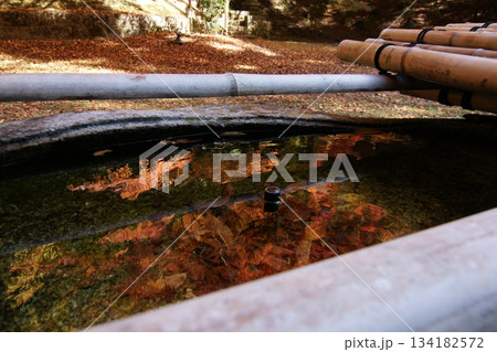 鳥取　四季の散歩　秋　智頭　諏訪神社 134182572