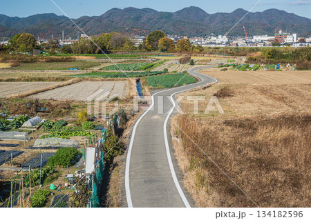 桂川沿いの田園風景 京奈和自転車道 京都市 桂川沿いの田園風景 京奈和自転車道 京都市 134182596