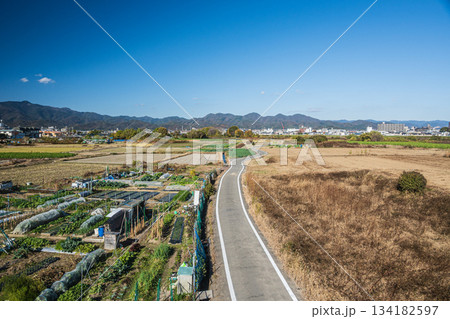 桂川沿いの田園風景 京奈和自転車道 京都市 桂川沿いの田園風景 京奈和自転車道 京都市 134182597