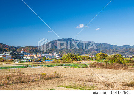 桂川沿いの田園風景　愛宕山の眺め　京都市 134182603