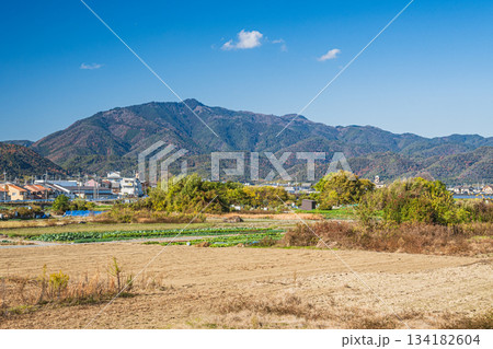 桂川沿いの田園風景　愛宕山の眺め　京都市 134182604