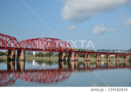 紀ノ川橋梁(南海電鉄ラッピングトレイン)　【和歌山県和歌山市】 134182616