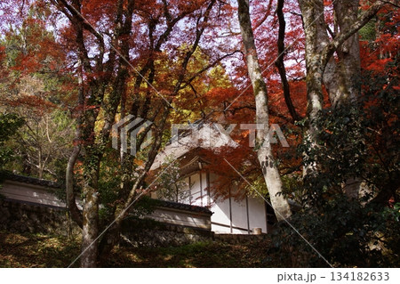 鳥取 四季の散歩 秋 豐乗寺 鳥取 四季の散歩 秋 豐乗寺 134182633