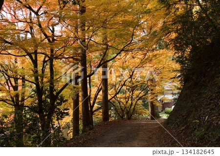 鳥取 四季の散歩 秋 豐乗寺 鳥取 四季の散歩 秋 豐乗寺 134182645