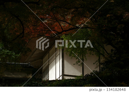 鳥取 四季の散歩 秋 豐乗寺 鳥取 四季の散歩 秋 豐乗寺 134182648