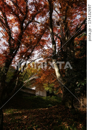 鳥取 四季の散歩 秋 豐乗寺 鳥取 四季の散歩 秋 豐乗寺 134182697