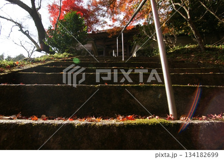 鳥取 四季の散歩 秋 豐乗寺 鳥取 四季の散歩 秋 豐乗寺 134182699