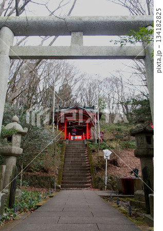 箱根九頭竜神社本宮 箱根九頭竜神社本宮 134182825
