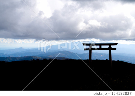 山頂の鳥居 134182827