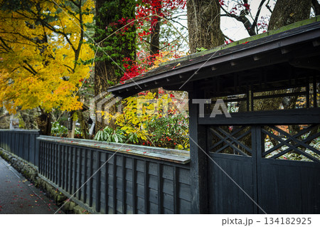 秋田県角館武家屋敷の黒塀と紅葉 秋田県角館武家屋敷の黒塀と紅葉 134182925