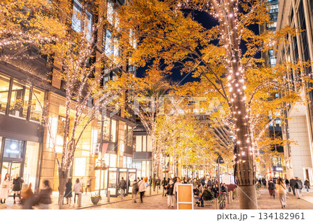 《東京都》丸の内・冬のイルミネーション 134182961