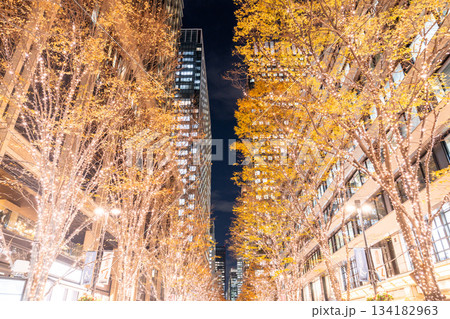 《東京都》丸の内・冬のイルミネーション 134182963