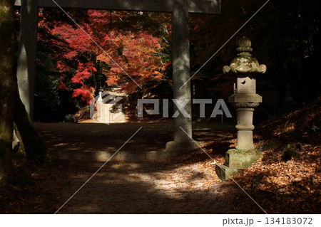 鳥取　四季の散歩　秋　智頭　諏訪神社 134183072
